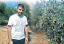 Χρήστος Καμπούρης: Ο ελαιοπαραγωγός που έβαλε την τεχνολογία πάνω από την παράδοση Χρήστος Καμπούρης: Ο ελαιοπαραγωγός που έβαλε την τεχνολογία πάνω από την παράδοση