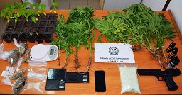 Μεσσηνία: Συνελήφθη ένα άτομο για ναρκωτικά Μεσσηνία: Συνελήφθη ένα άτομο για ναρκωτικά