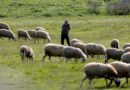Μέχρι 18 Ιουνίου οι αιτήσεις για την Εξισωτική Αποζημίωση 2019 Μέχρι 18 Ιουνίου οι αιτήσεις για την Εξισωτική Αποζημίωση 2019