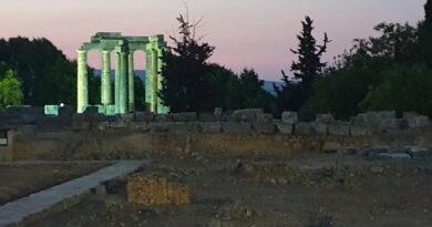 Συναυλία εγχόρδων στη Νεμέα με φόντο τον ναό του Δία Συναυλία εγχόρδων στη Νεμέα με φόντο τον ναό του Δία
