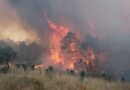 Πυρκαγιές: Η Κορινθία στις περιοχές με μεγάλη επικινδυνότητα μέχρι την Τρίτη 9/8