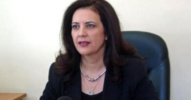 Ντίνα Νικολάκου