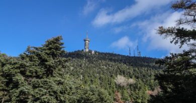 Εθνικό δρυμό Πάρνηθας