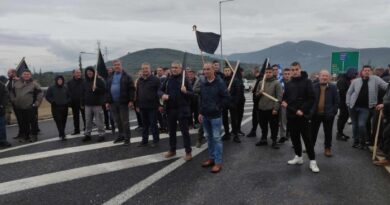 Αγροτικός Σύλλογος Νεμέας