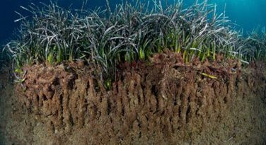 Κλιματική Αλλαγή