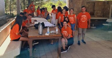 Νέμεων Αγώνων