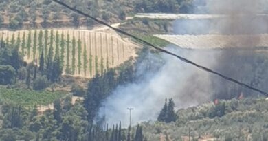 Κούτσι Νεμέας