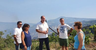 πυρκαγιά Στιμάγκας και Νεμέας