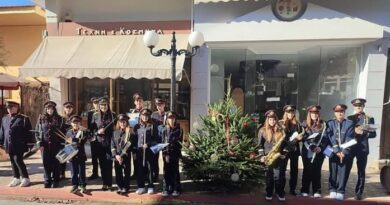 Νεμέα: Τοποθετήθηκαν και στολίστηκαν 17 φυσικά έλατα από τις σχολικές μονάδες