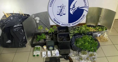 160 φυτά κάνναβης κατασχέθηκαν από το Τμήμα Δίωξης Ναρκωτικών Καλαμάτας