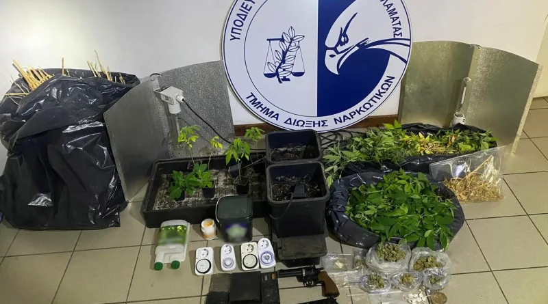 160 φυτά κάνναβης κατασχέθηκαν από το Τμήμα Δίωξης Ναρκωτικών Καλαμάτας