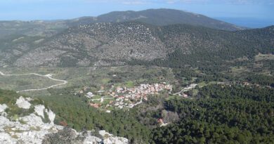 Επανεμφάνιση του λύκου στην Πελοπόννησο-Συνεδρίαση για μέτρα διαχείρισης και προστασίας με πρωτοβουλία της Περιφέρειας