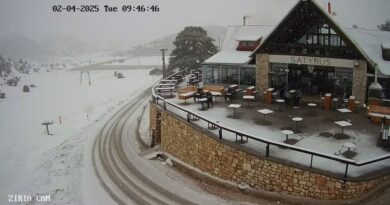 Χιονόπτωση από το πρωί στη Ζήρεια