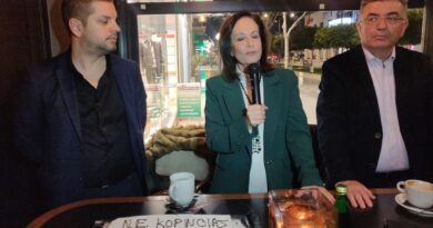 κοπή πίτας της Ν.Ε Κορινθίας ΠΑΣΟΚ-ΚΙΝΑΛ - Ομιλήτρια η Άννα Διαμαντοπούλου