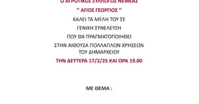 Κάλεσμα του Αγροτικού Συλλόγου Νεμέας σε Γενική Συνέλευση με θέμα: ''Αγροτικές Κινητοποιήσεις''