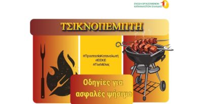 Τσικνοπέμπτη - Οδηγίες για ασφαλές ψήσιμο στην ψησταριά