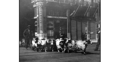 Οι βοσκοί της Αττικής στην ΤΕΧΝΟΠΟΛΗ