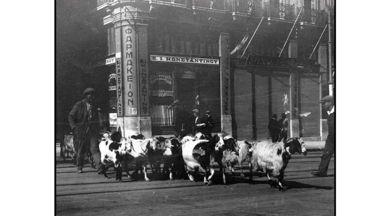 Οι βοσκοί της Αττικής στην ΤΕΧΝΟΠΟΛΗ