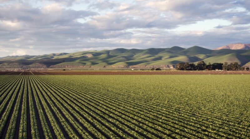 Η Πελοπόννησος στην πρωτοπορία της βιώσιμης γεωργίας με το GRECFL2