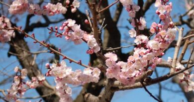 Φεβρουάριος – Καλό μήνα