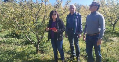 Σημαντική ανακοίνωση προς τους παραγωγούς της Κλένιας για τις ζημιές από παγετό