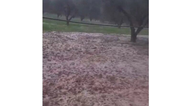 Ισχυρή χαλαζόπτωση σε Αρχαία Νεμέα και Δερβενάκια -Ζημιές σε καλλιέργειες