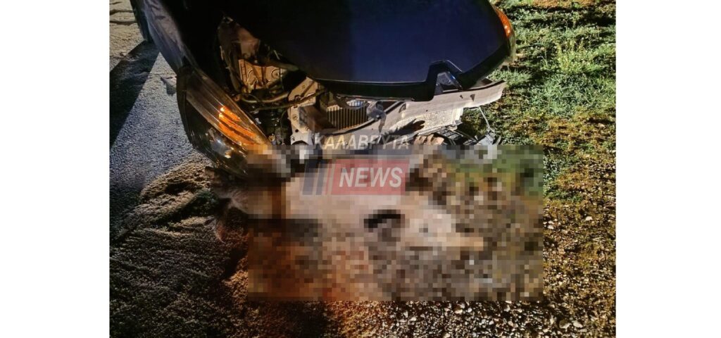 Καλάβρυτα: Σοβαρό τροχαίο με αγριογούρουνο