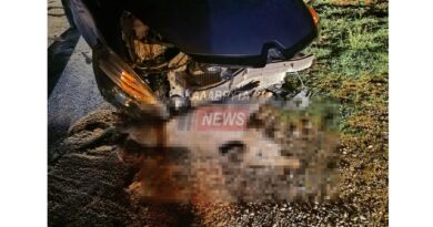 Καλάβρυτα: Σοβαρό τροχαίο με αγριογούρουνο