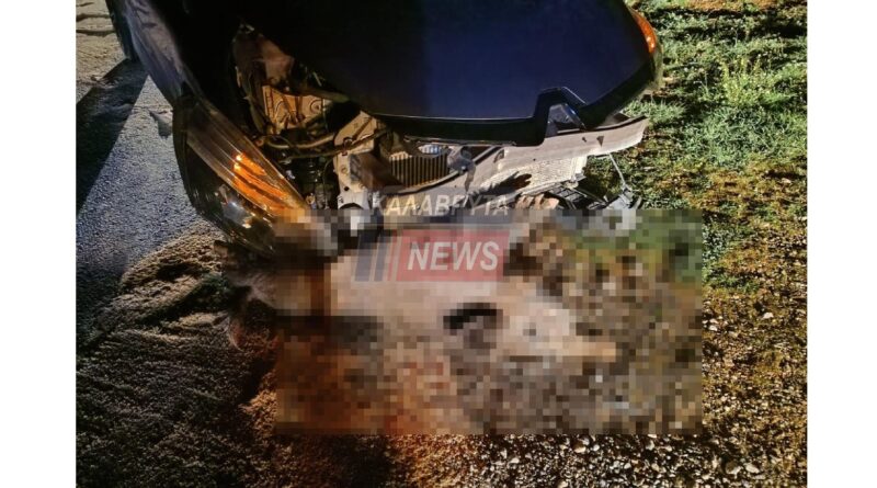 Καλάβρυτα: Σοβαρό τροχαίο με αγριογούρουνο