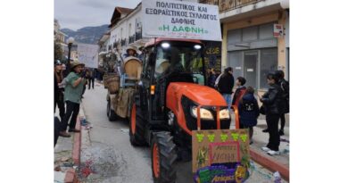 Τ.Κ. Δάφνης: Ευχαριστήριο για τη συμμετοχή στο Νεμεάτικο Καρναβάλι 2025 -ΦΩΤΟ