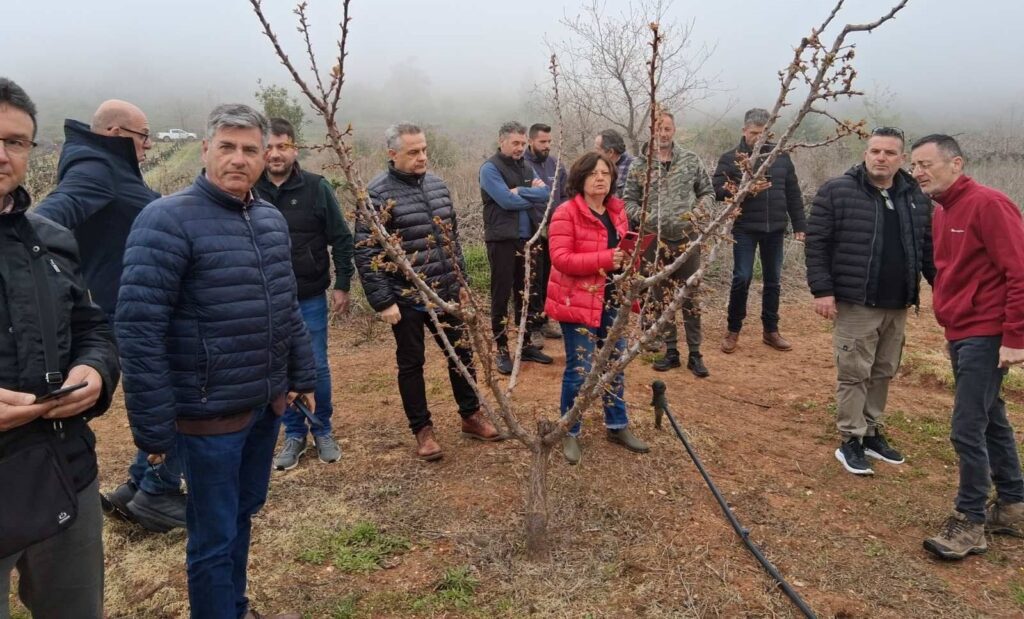 Κορινθία: Επίσκεψη Κλιμακίου του ΕΛΓΑ Πατρών στις πληγείσες περιοχές από χαλάζι