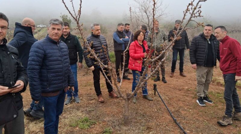 Κορινθία: Επίσκεψη Κλιμακίου του ΕΛΓΑ Πατρών στις πληγείσες περιοχές από χαλάζι