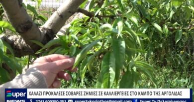 Χαλάζι προκάλεσε σοβαρές ζημιές σε καλλιέργειες στον κάμπο της Αργολίδας