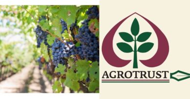 Έναρξη Υποβολής Αιτήσεων - Αναδιάρθρωσης και Μετατροπής Αμπελώνων του Αμπελοοινικού τομέα περιόδου 2025 -2026