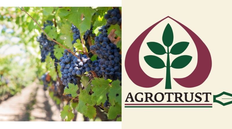 Έναρξη Υποβολής Αιτήσεων - Αναδιάρθρωσης και Μετατροπής Αμπελώνων του Αμπελοοινικού τομέα περιόδου 2025 -2026