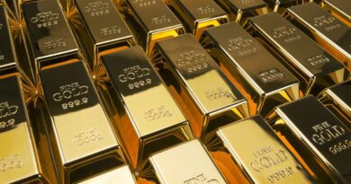 ΟΚΕ: Χρυσός και πετρέλαιο στις διεκδικήσεις μας από Γερμανία