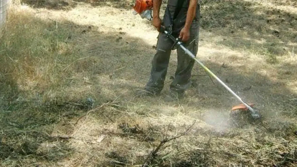 Καθαρισμός οικοπέδων: Δόθηκε παράταση μέχρι τις 15 Ιουνίου