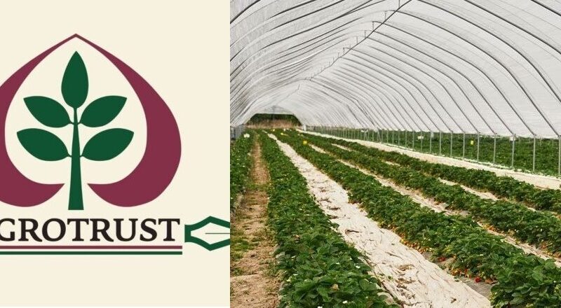 Δημοσιεύτηκε η προκήρυξη εκσυγχρονισμού και κατασκευής θερμοκηπιακών εγκαταστάσεων με ενίσχυση 50-70%