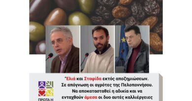 Ελιά και Σταφίδα εκτός αποζημιώσεων του Μέτρου 23 - Σε απόγνωση οι αγρότες της Πελοποννήσου
