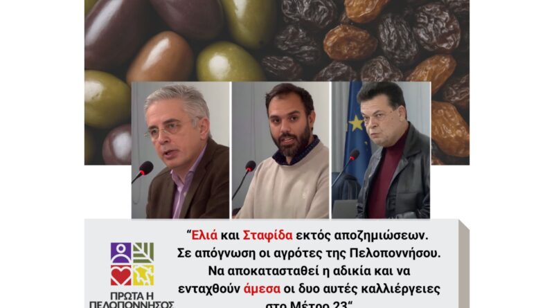 Ελιά και Σταφίδα εκτός αποζημιώσεων του Μέτρου 23 - Σε απόγνωση οι αγρότες της Πελοποννήσου