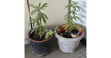 Συνελήφθησαν 20 άτομα σε αστυνομικές επιχειρήσεις στην Αργολίδα, Αρκαδία και Κορινθία