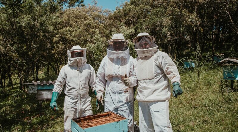 Επιδοτούμενες δράσεις Μελισσοκομίας έτους 2025