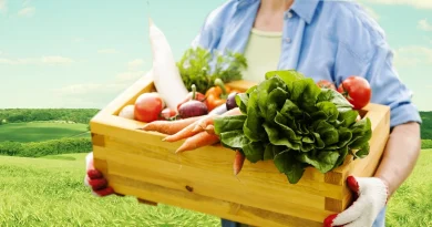 Από 14 Μαΐου οι αιτήσεις για το πρόγραμμα βιολογικής γεωργίας και κτηνοτροφίας