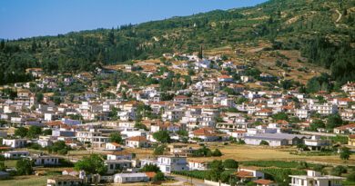 Νεμέα: Ενοικιάζεται διαμέρισμα στη Νέα Πλατεία