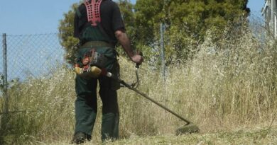 Πότε λήγει η προθεσμία για τον καθαρισμό οικοπέδων