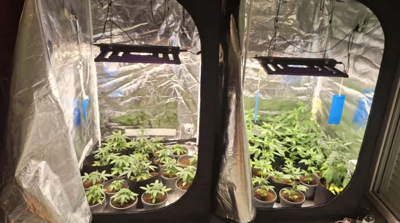 Συνελήφθη ένα άτομο για ναρκωτικά στην Κορινθία