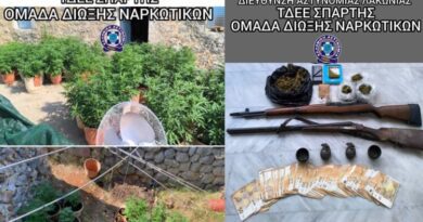 Λακωνία: Συνελήφθη 70χρονος, καλλιεργούσε 110 δενδρύλλια κάνναβης