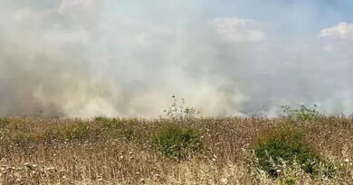 Ναύπλιο: Έβαλε φωτιά σε ξερά χόρτα και τη συνέλαβαν - 3.000 ευρώ πρόστιμο