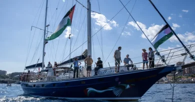 Πολιτικές αντιδράσεις και καταδίκες για την έφοδο του ισραηλινού στρατού στο Madleen