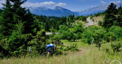 2ο Oiti Mountain Bike Race - Mavrolithari 21 & 22 Ιουνίου 2025